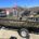2024 Sea Ark Shadow 17J CC w/ Mercury 65 ELPT Jet and Single Axle Trailer
