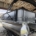 2026 Bentley LE 180 3PT Fish w/ Mercury 60 ELPT and Single Axle Trailer